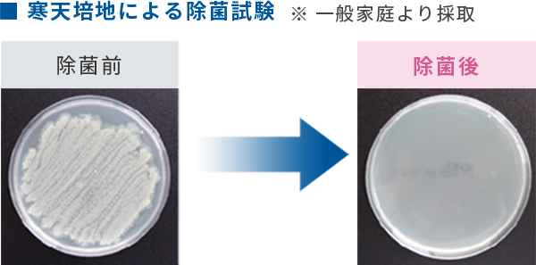 雑菌を除去し強力消臭