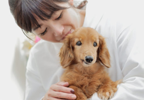 ペットがいるご家庭に